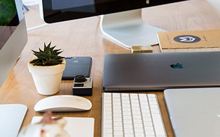 MILU INU - 最具吸引力且已在多家顶级交易所上市的当今最火动画板块模因币。